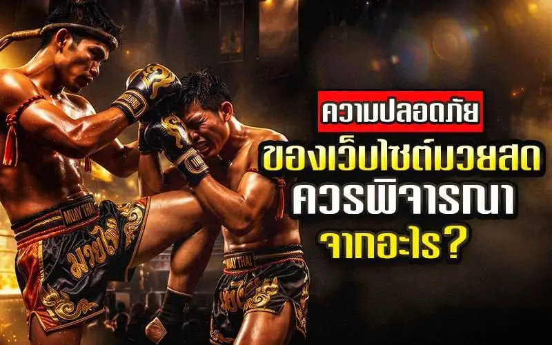 แทงมวยสดอย่างปลอดภัย